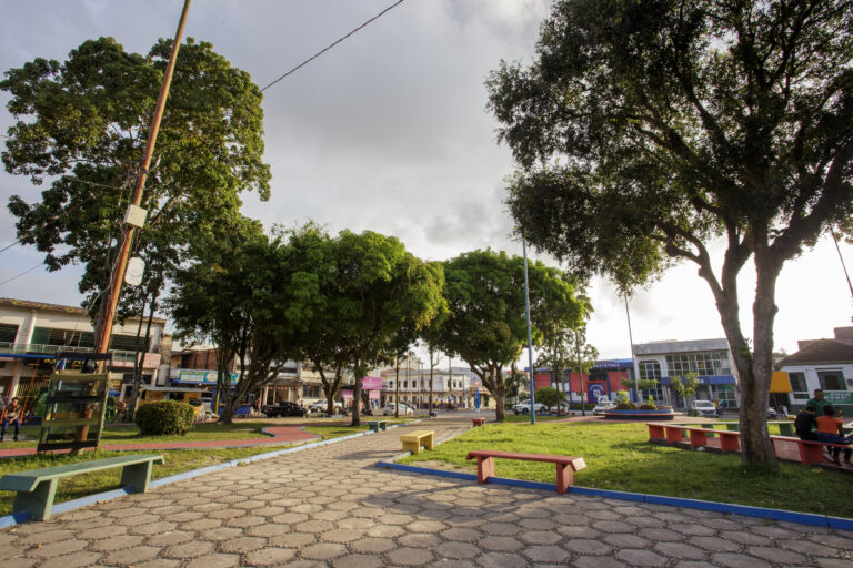 Prefeitura de Abaetetuba lança formulário participativo para elaboração do Plano Municipal de Arborização Urbana